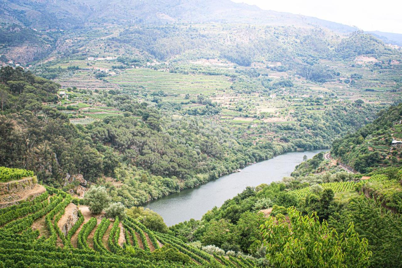 Casa Avos D'Ouro - Barqueiros, Mesao Frio, Douro Villa Buitenkant foto